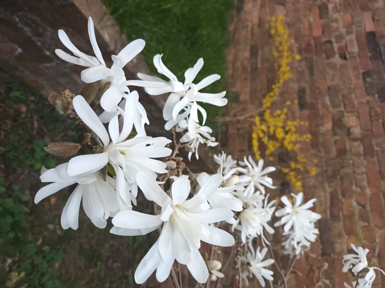 Additional image 11 of 4 Bed Semi-Detached House, Parkhill Avenue, M8, N1 7GU