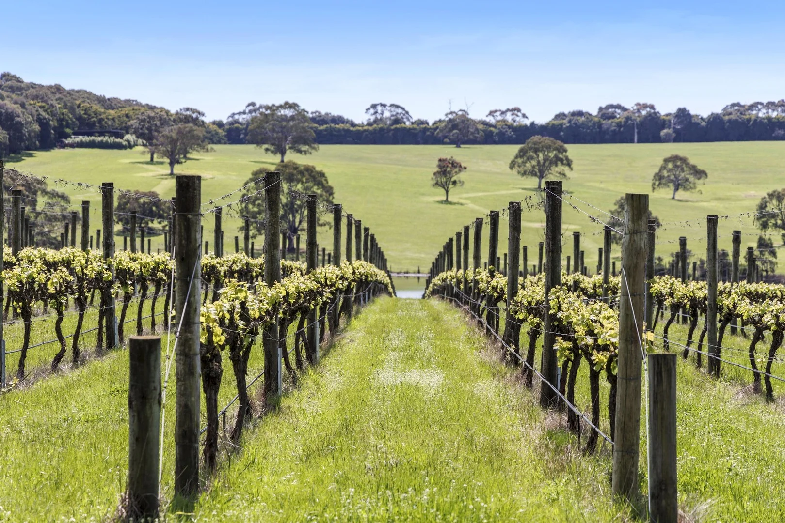 Additional image 3 of 50 Foxeys Road, Tuerong VIC 3915