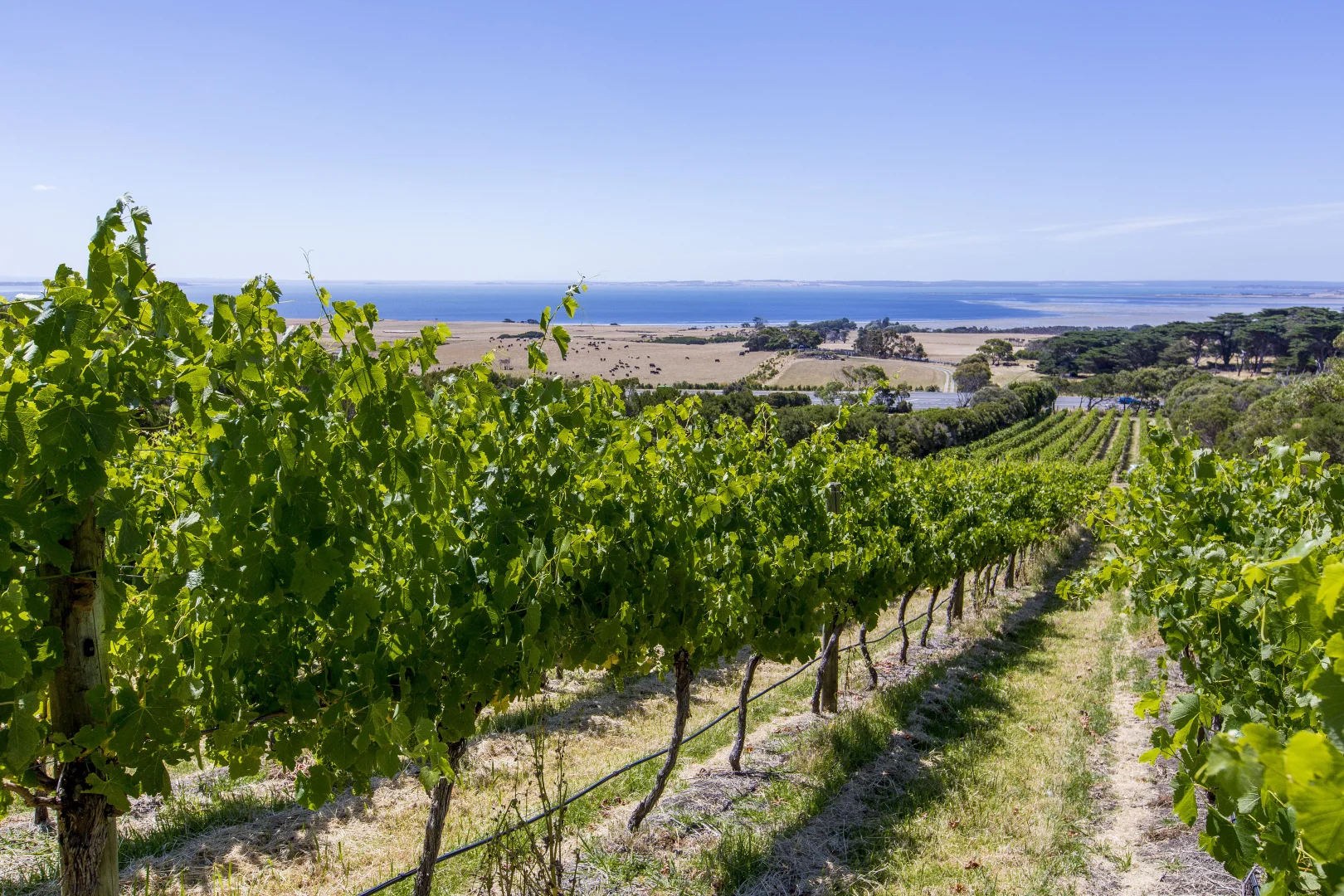 Additional image 24 of 215 Phillip Island Road, San Remo VIC 3925