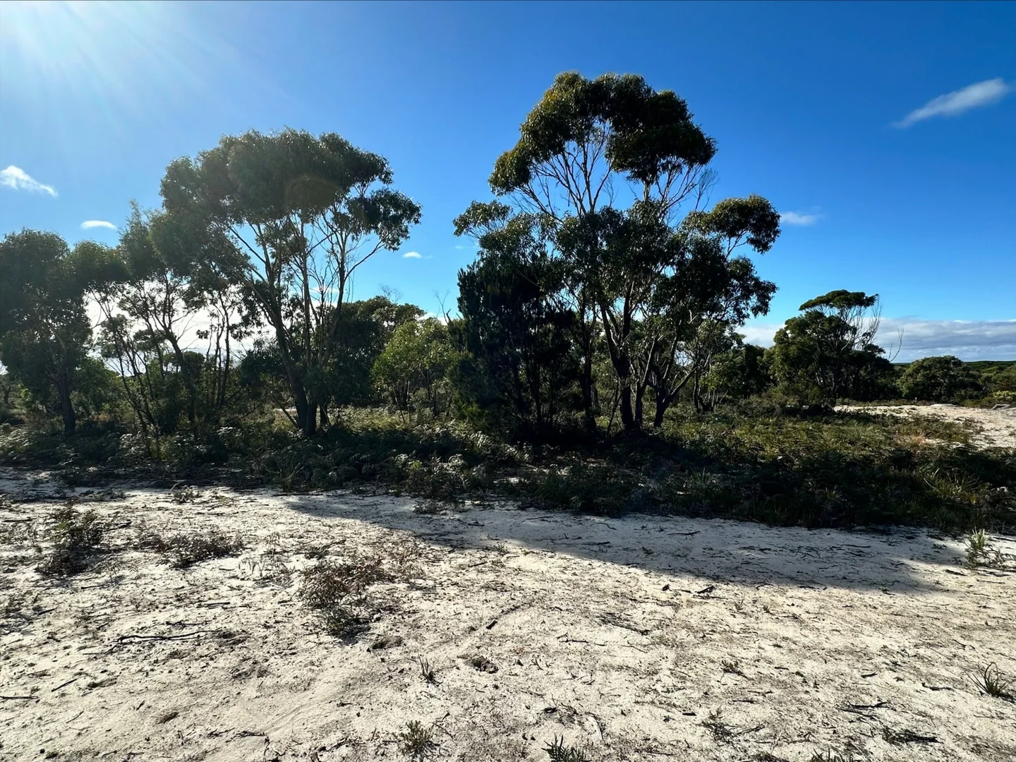 Additional image 5 of 53 Winifred Drive, Scamander TAS 7215