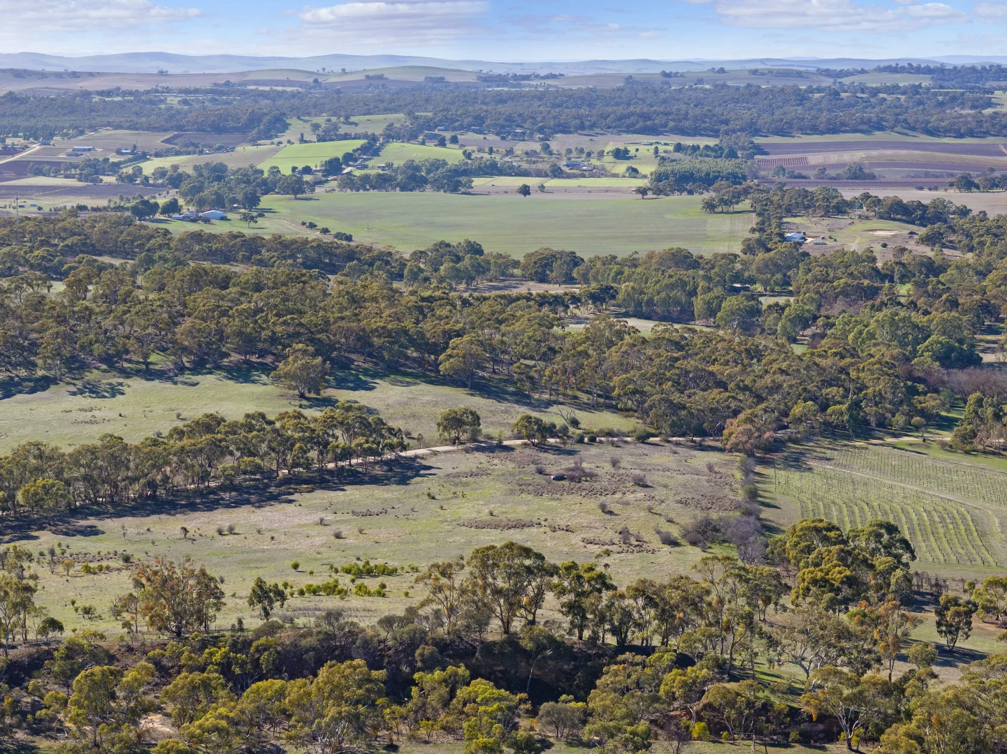 Additional image 6 of Lot 102 Benbournie Road, Armagh SA 5453