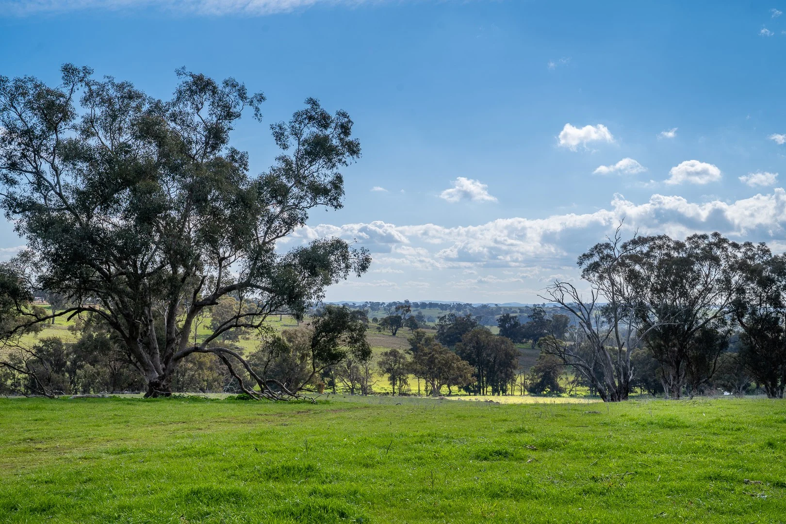 289 Paling Yards Loop, Bowan Park NSW 2864