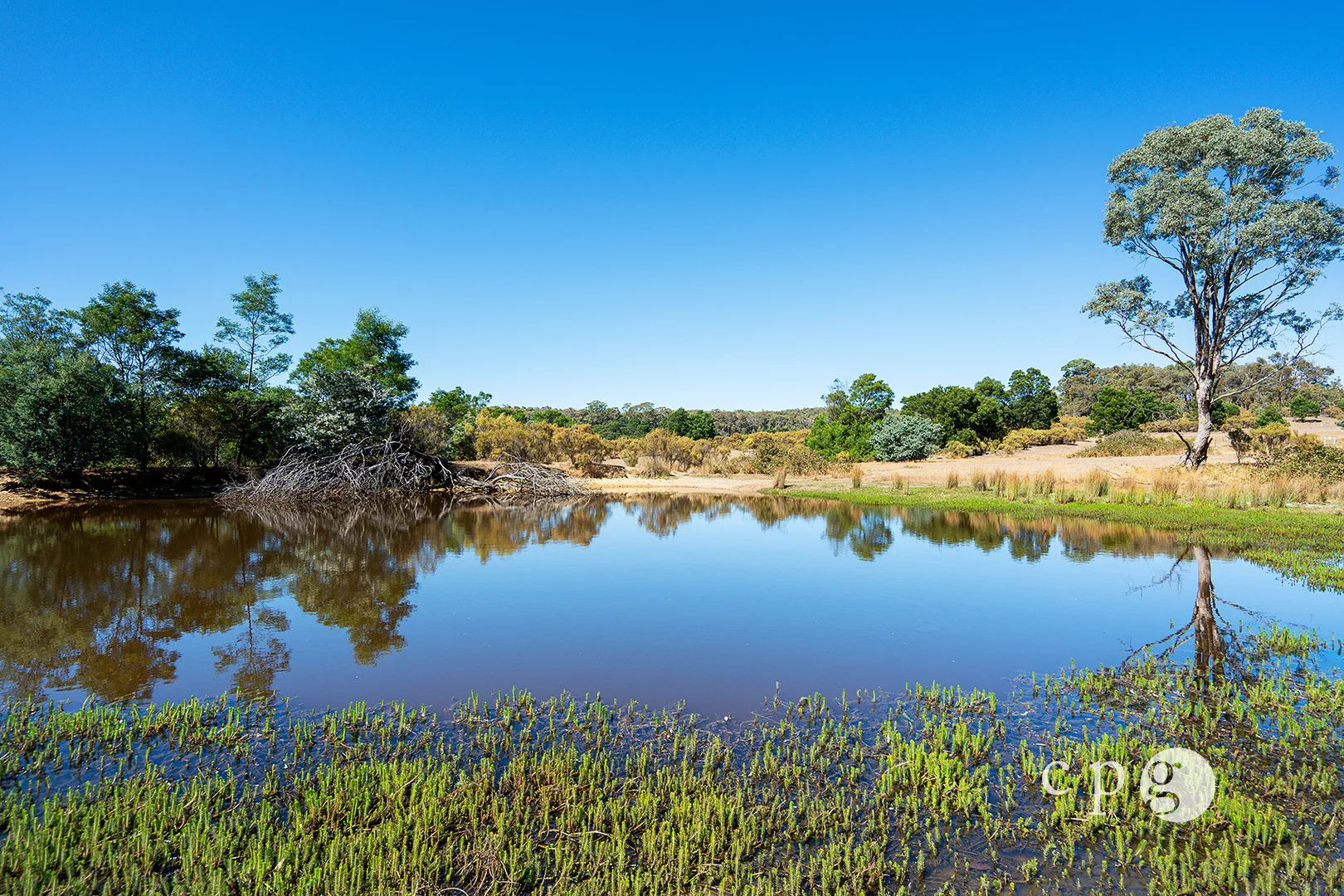 Additional image 11 of 17 Buntins Road, Elphinstone VIC 3448