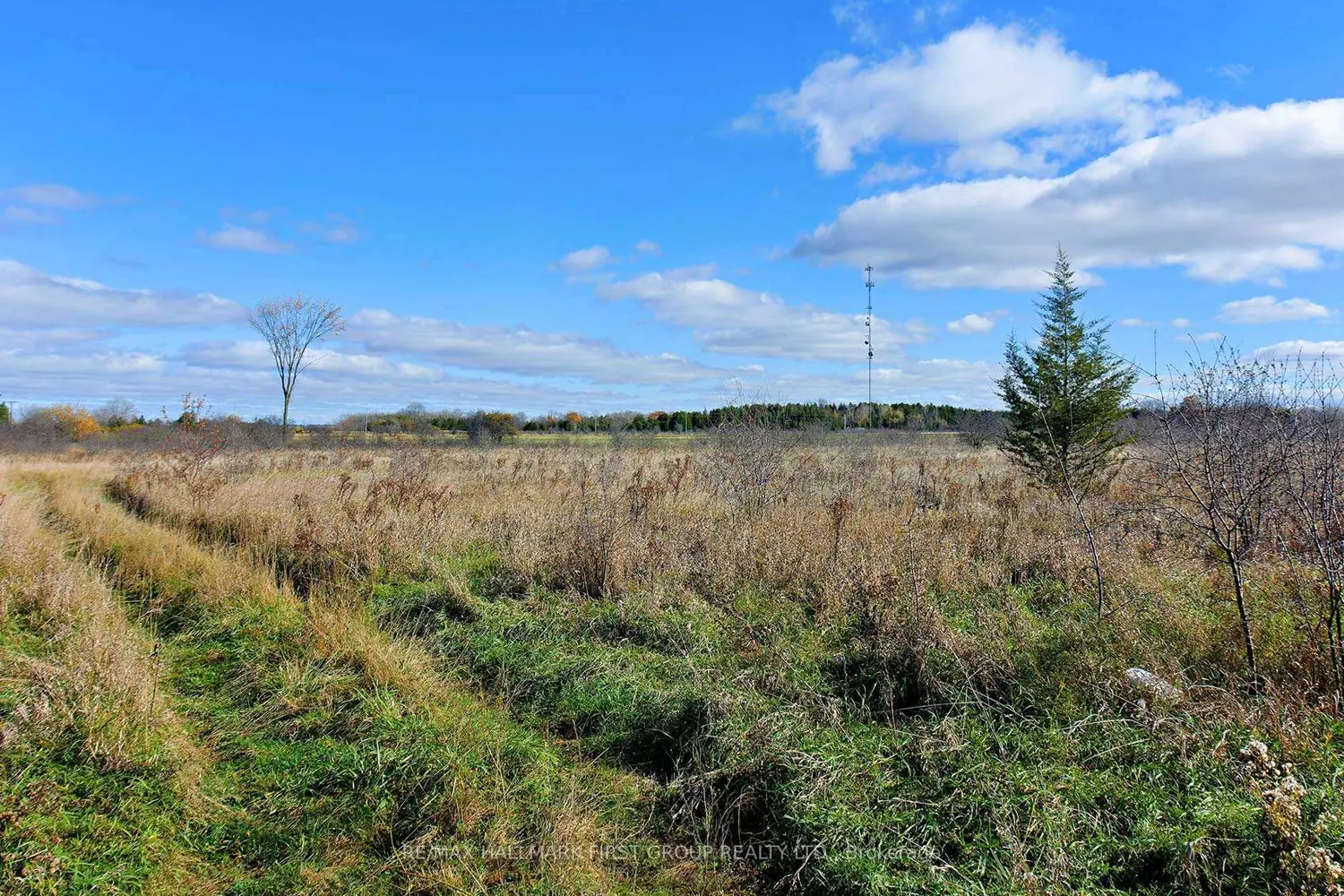 Additional image 10 of 0 5 Concession Road