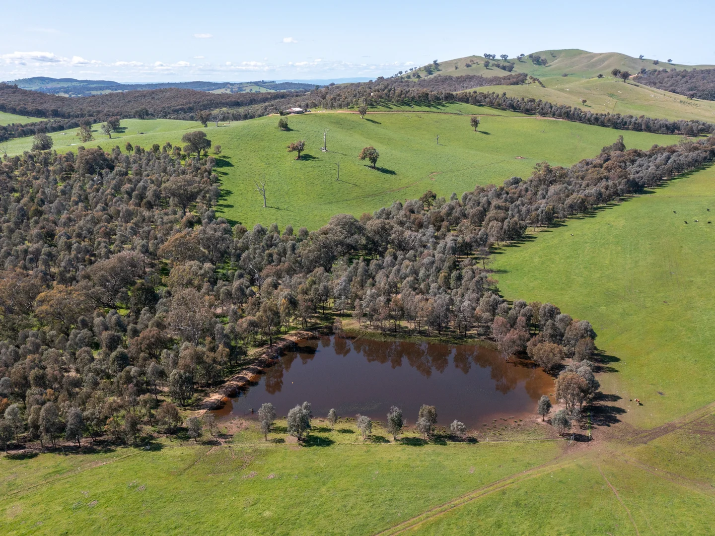 Additional image 23 of 97 Granite Road, Lurg VIC 3673