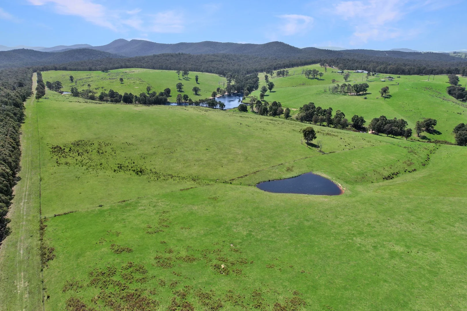 Additional image 24 of 151 Wattle Hill Road, Buchan South VIC 3885