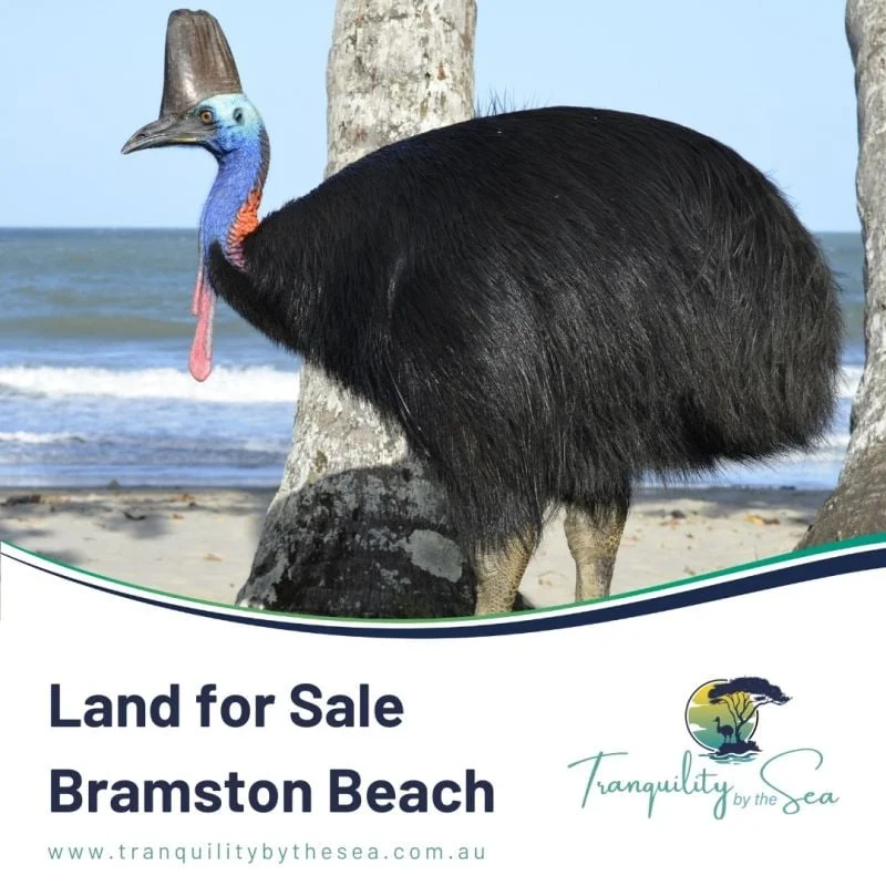 Additional image 19 of 11 Armanasco Rd, Bramston Beach QLD 4871