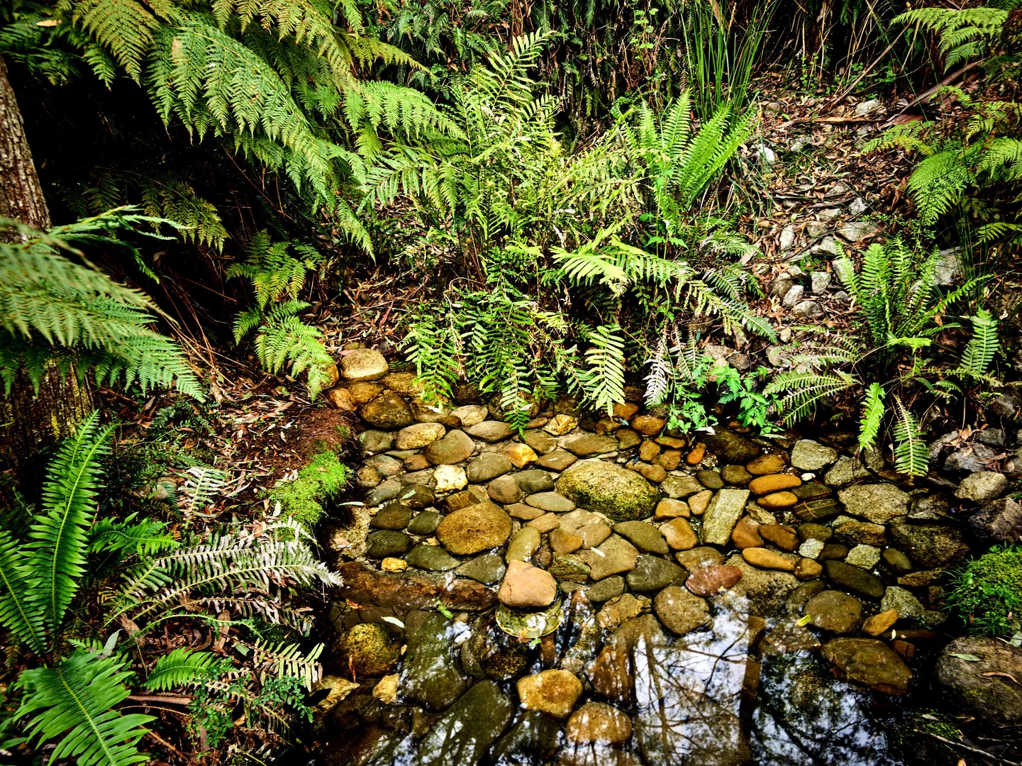 Additional image 26 of 451 Mount Buffalo Road, Porepunkah VIC 3740