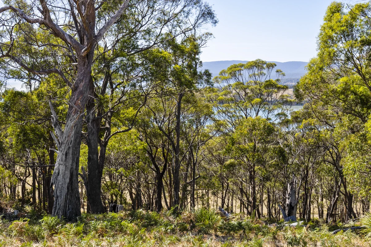 Additional image 36 of 370 Saltwater River Road, Premaydena TAS 7185