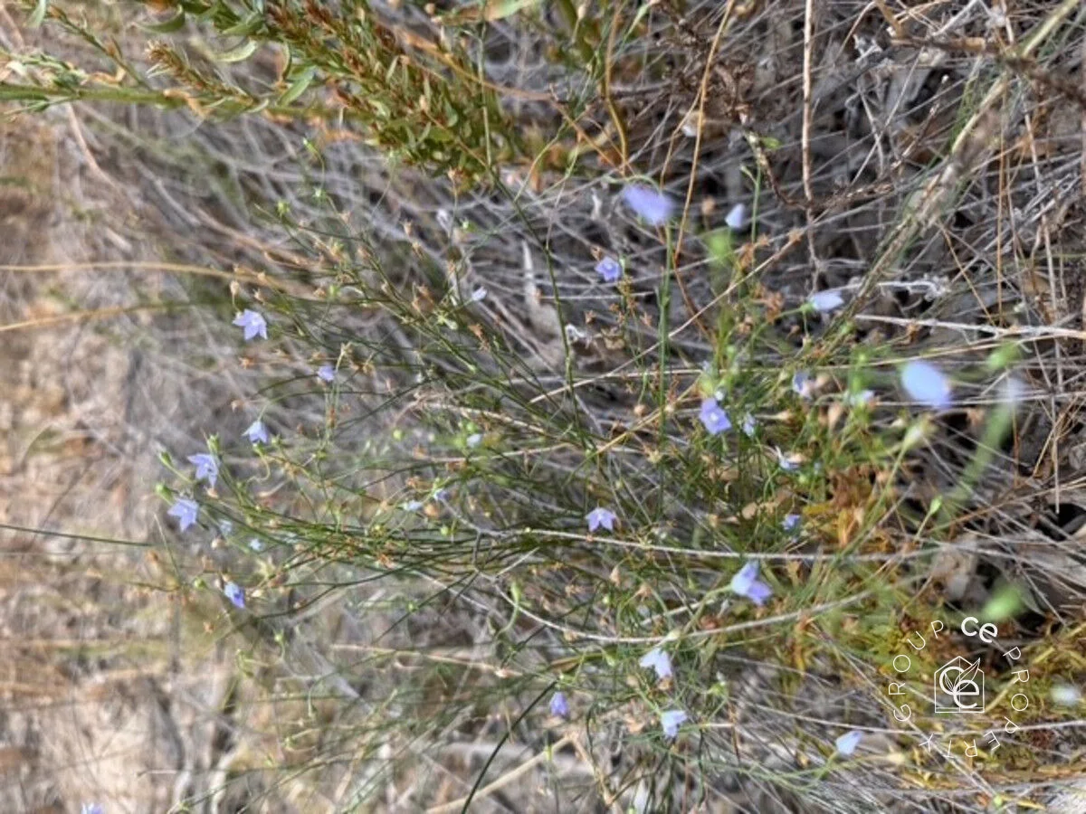 Additional image 16 of 28 River Reserve Road, Swan Reach SA 5354