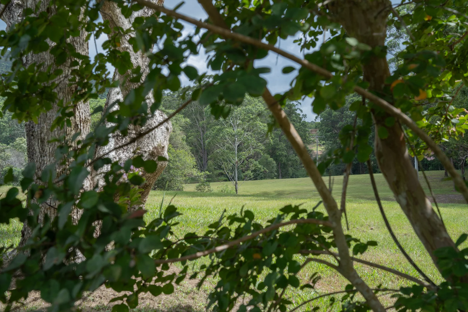 Additional image 9 of 32 Dunne Road, Glenview QLD 4553