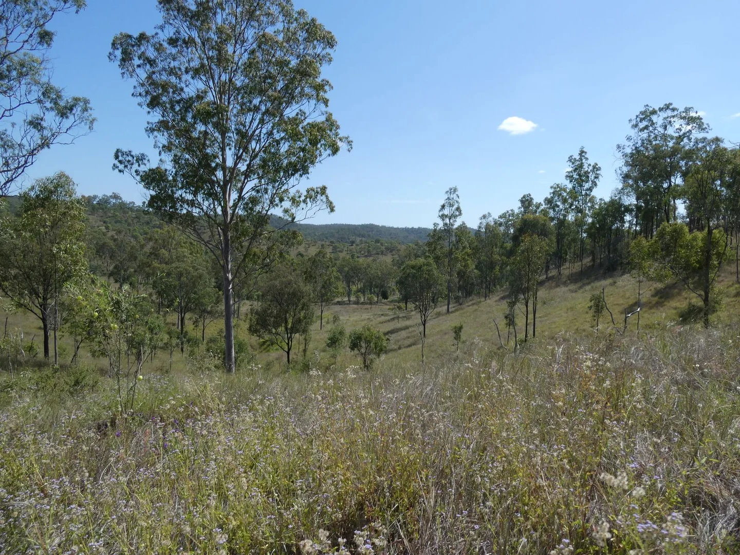 Additional image 18 of Lot 14 Monto Mount Perry Road, Mungy QLD 4671