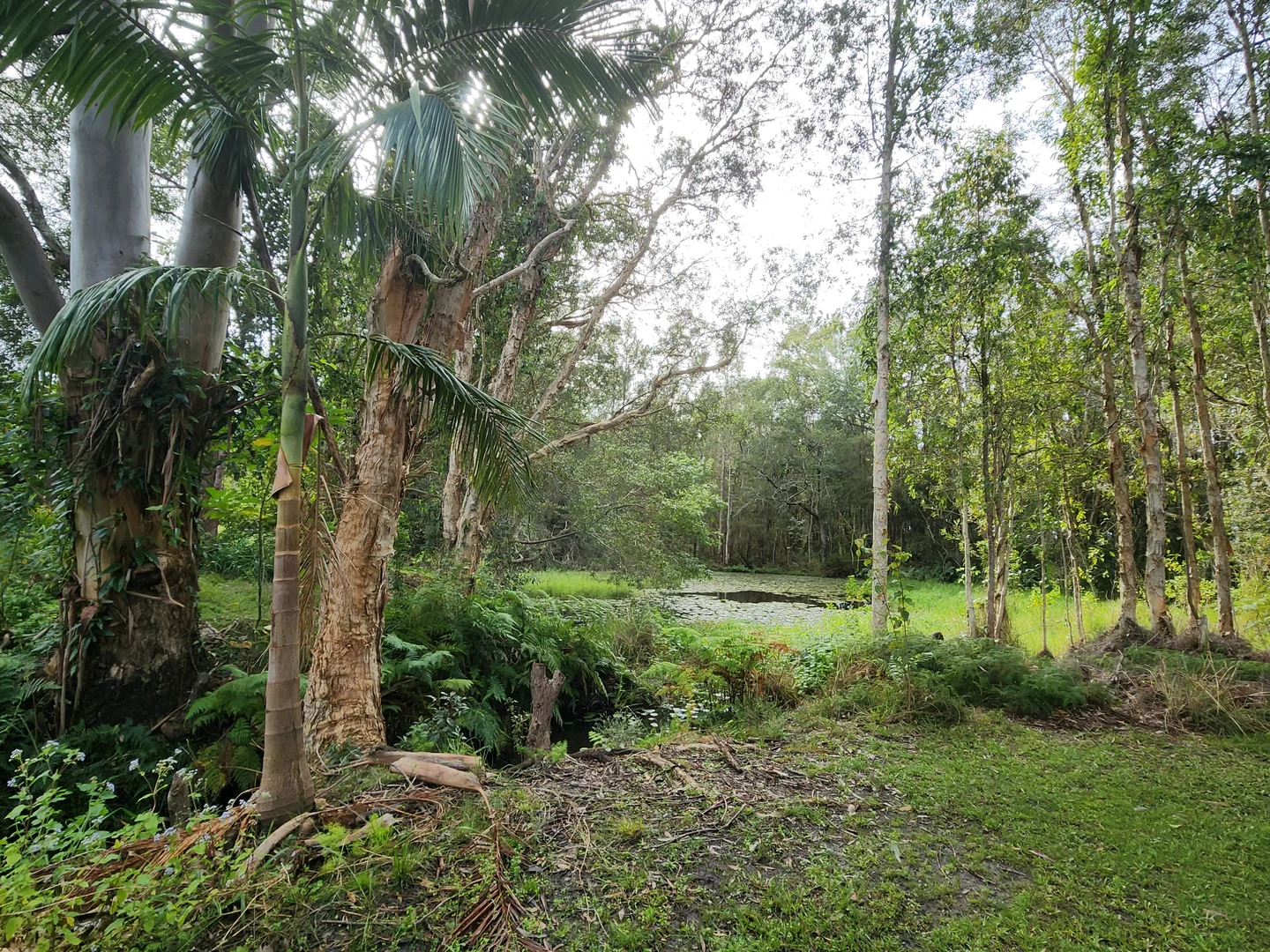 Additional image 4 of 27 Platers Road, Gulmarrad NSW 2463