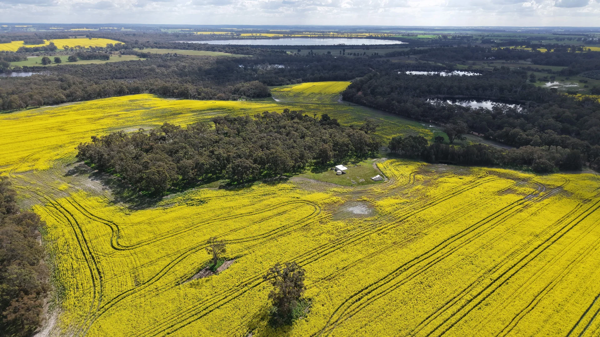 Additional image 3 of 171 Kwornicup Road, Forest Hill WA 6324