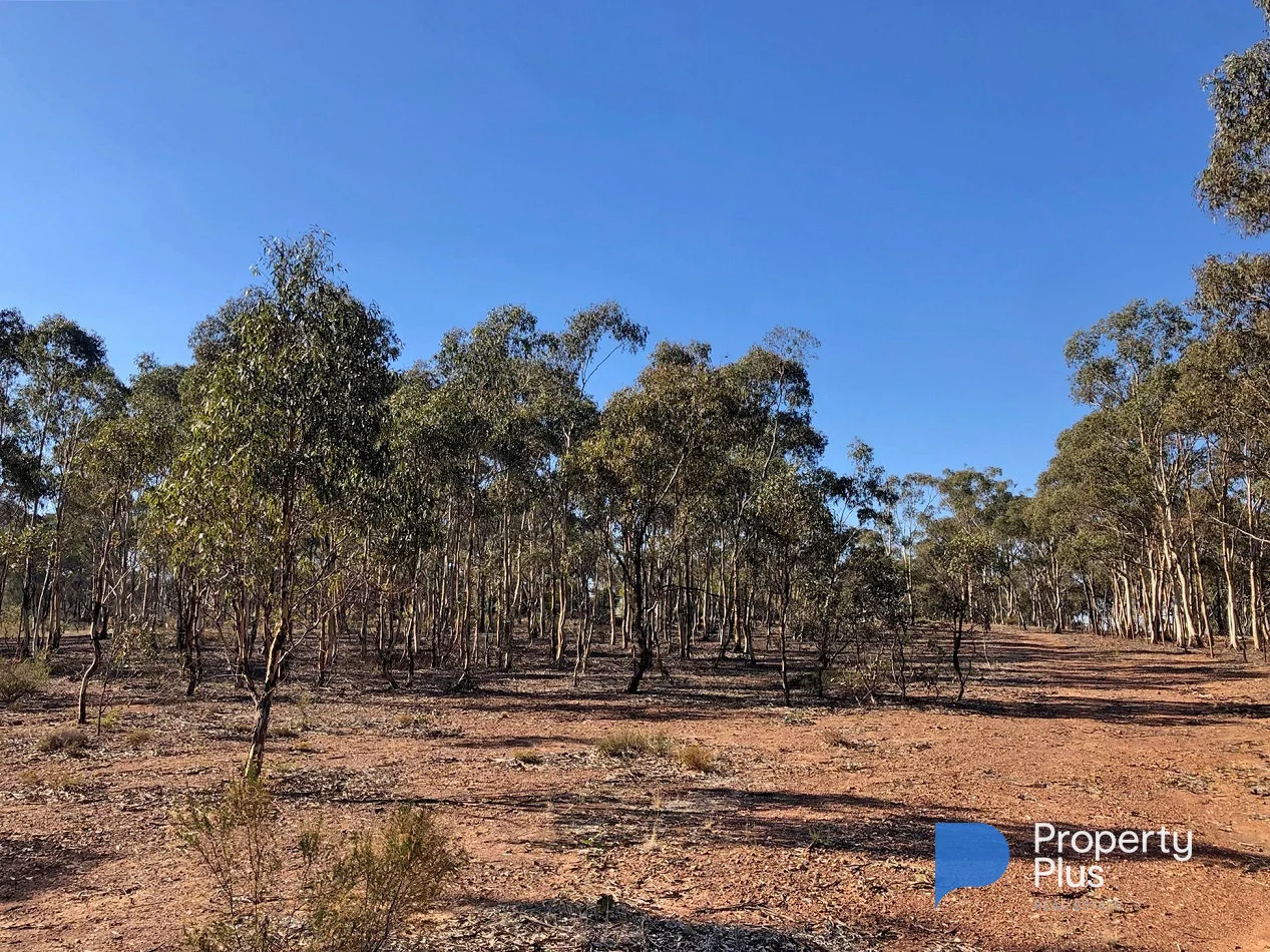 Additional image 18 of 1 Bendigo-Maryborough Road, Shelbourne VIC 3515