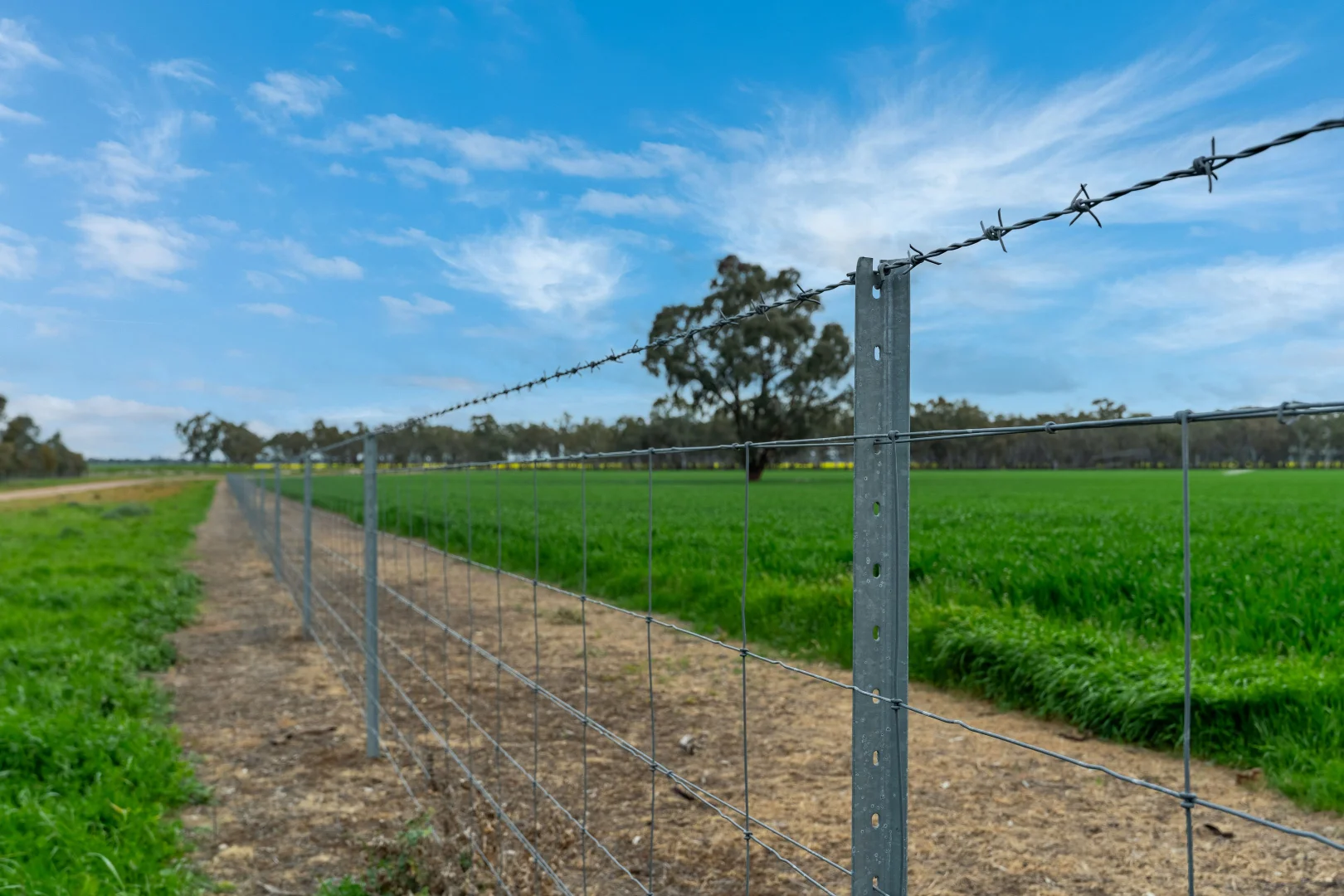 Additional image 15 of 90 Kilnyana Road, Savernake NSW 2646