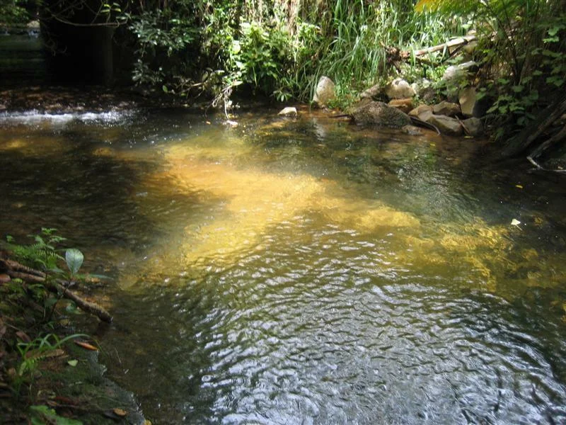 Additional image 3 of 166 Bulgun Rd, Bulgun QLD 4854