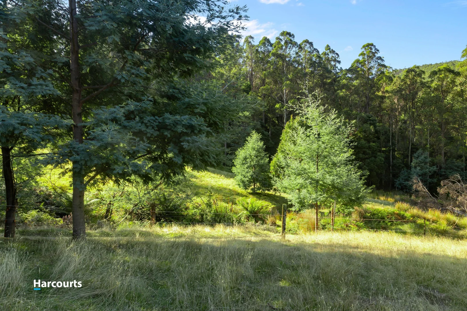 Additional image 31 of 90 Caseys Road, Nicholls Rivulet TAS 7112