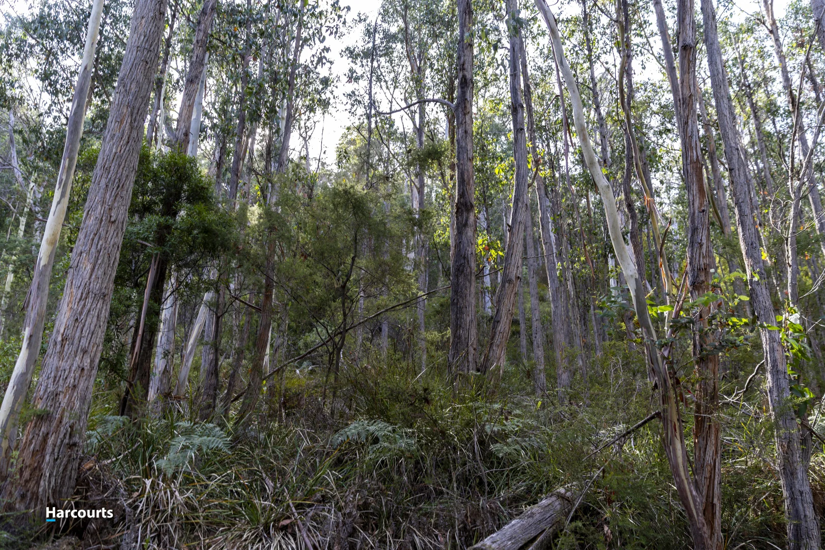 Additional image 31 of RA Basin Road, Grove TAS 7109