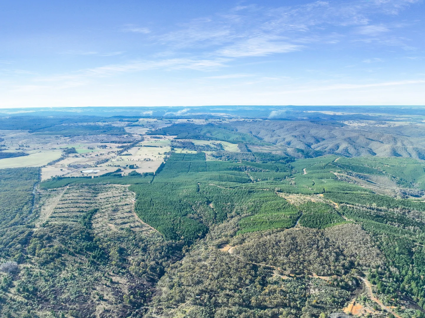 Additional image 6 of 3653 Arkstone Road, Burraga NSW 2795