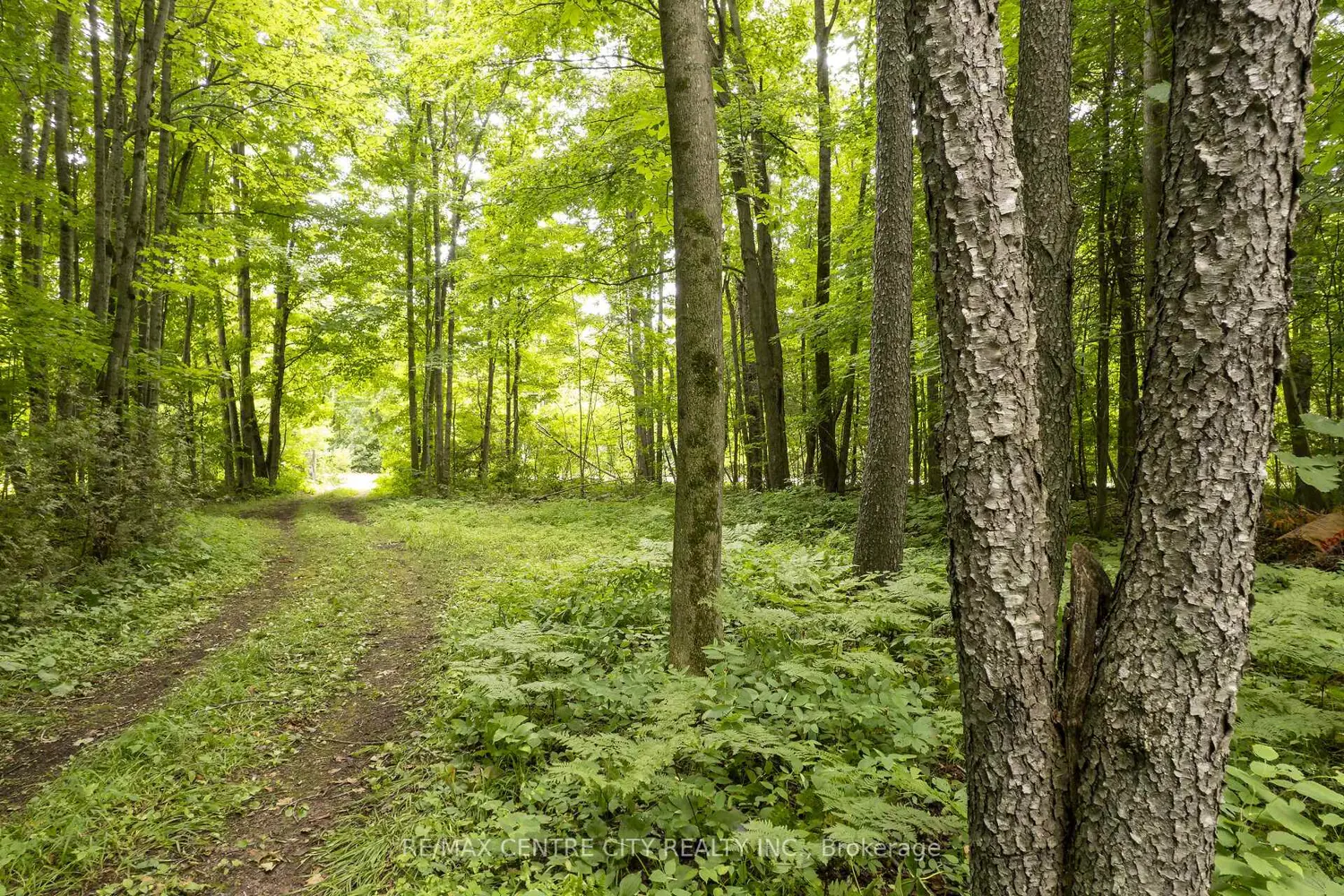 Additional image 20 of Pt Lt 6 Concession 8 Road