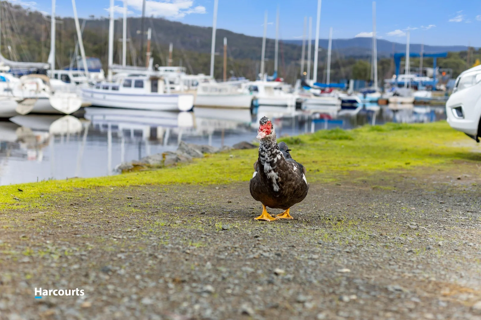 Additional image 6 of 22 Port View Drive, Port Huon TAS 7116
