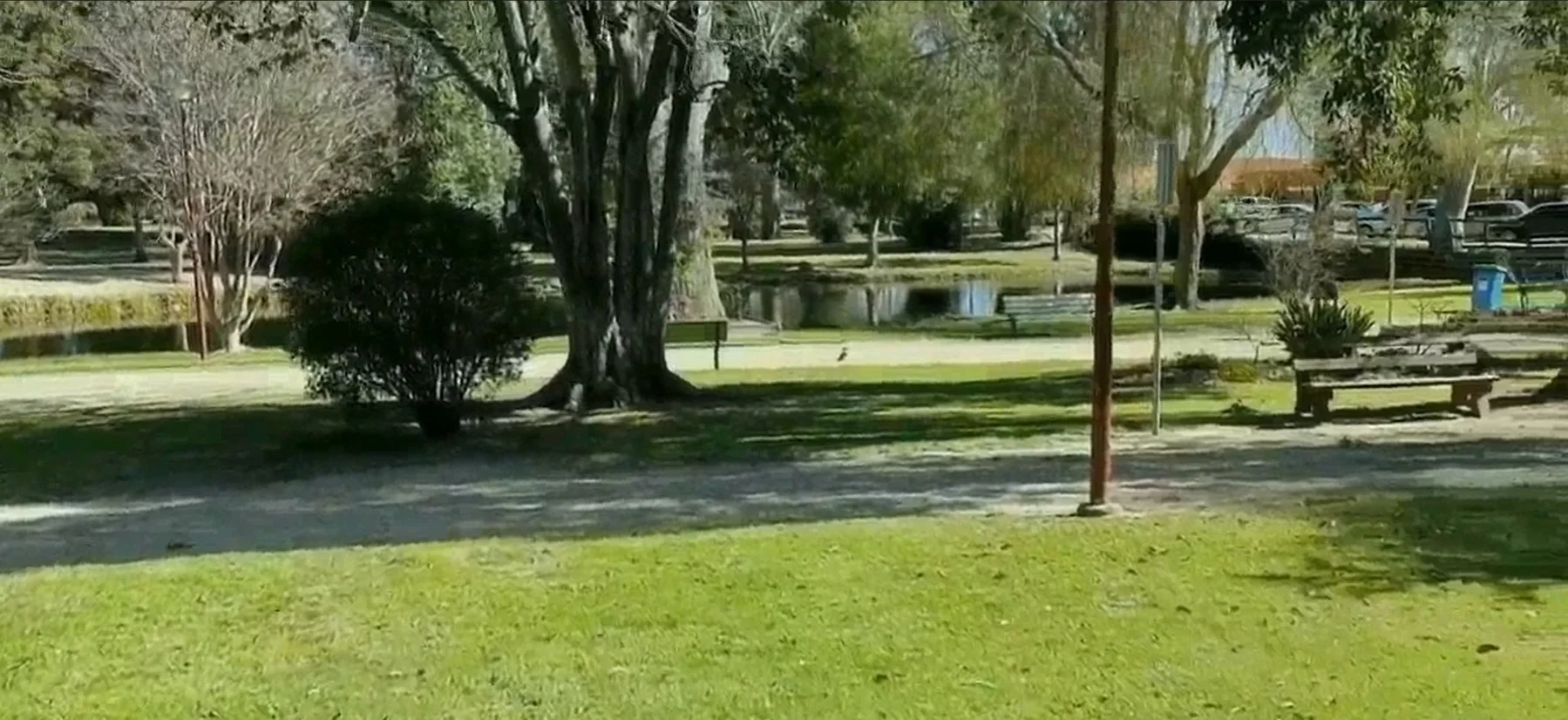 1/301-305 Cressy Street, Deniliquin NSW 2710