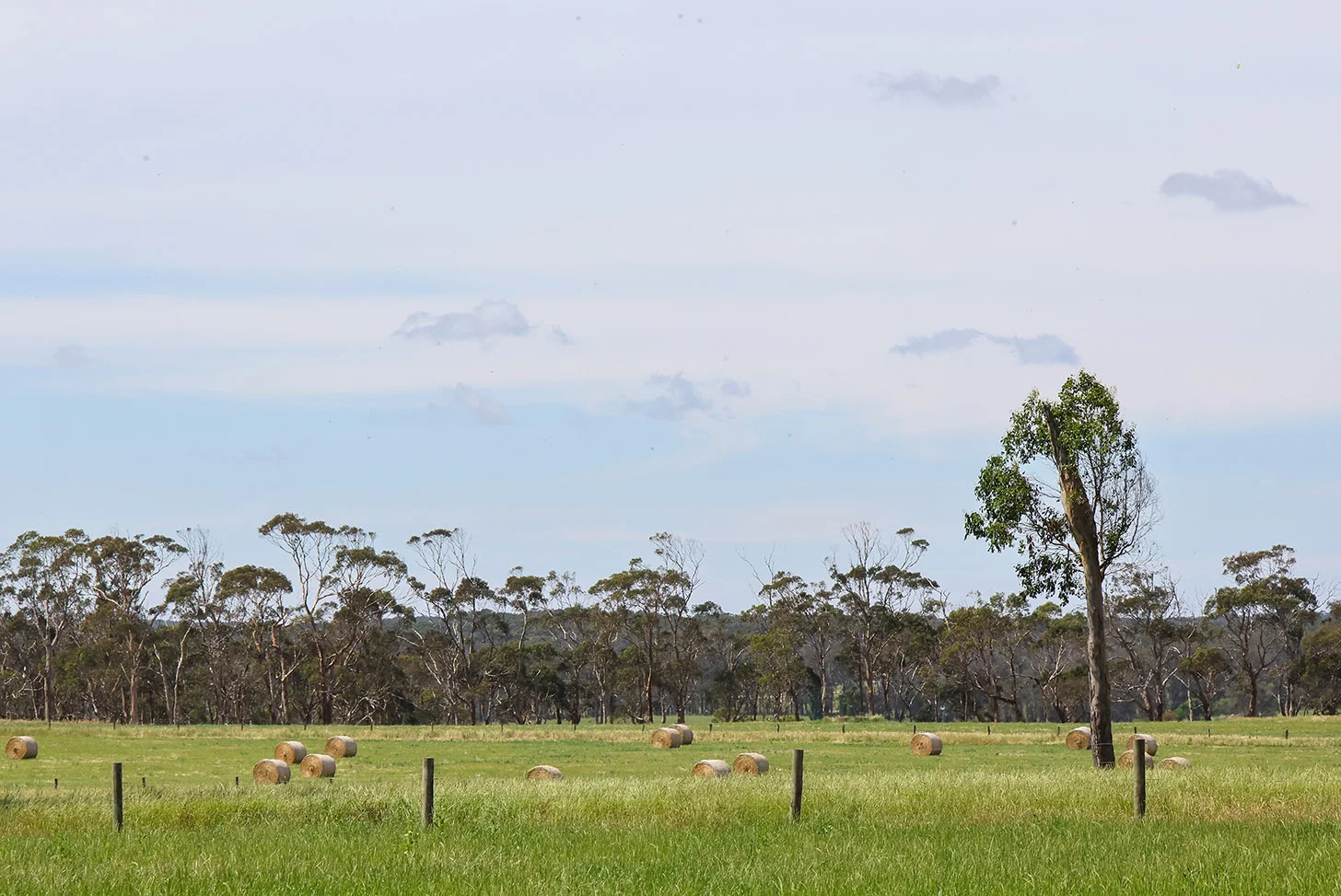 Additional image 4 of 211 Rollos Road, Panmure VIC 3265