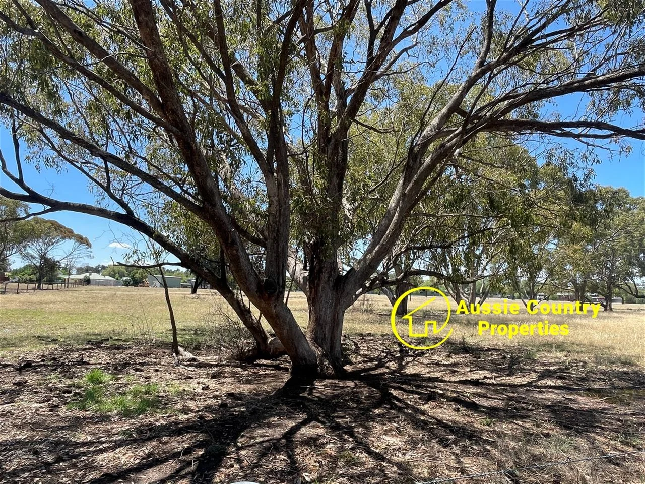 Additional image 9 of Lots 14 & 15 Jerilderie Street, Berrigan NSW 2712