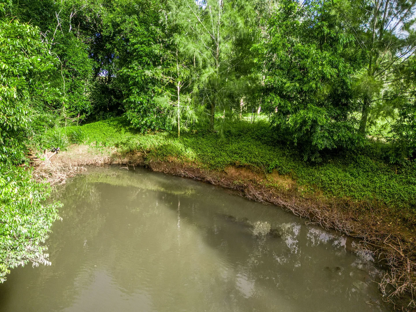 Additional image 45 of 1368 Wyrallah road, Tucki Tucki NSW 2480