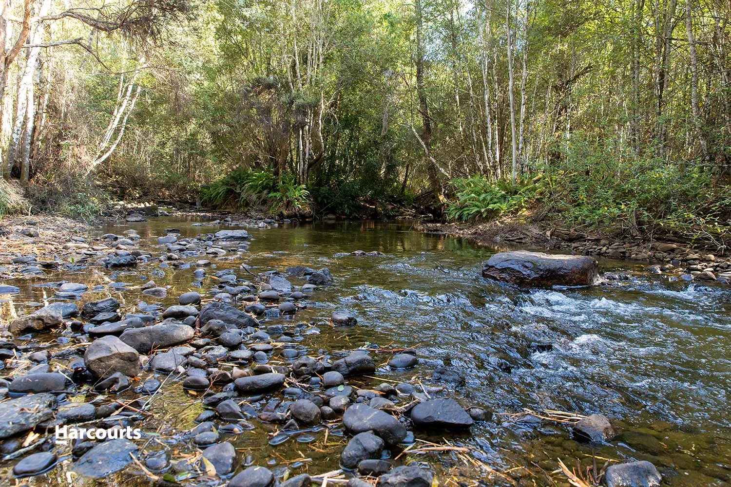 Additional image 8 of 623 Denison Road, Lonnavale TAS 7109