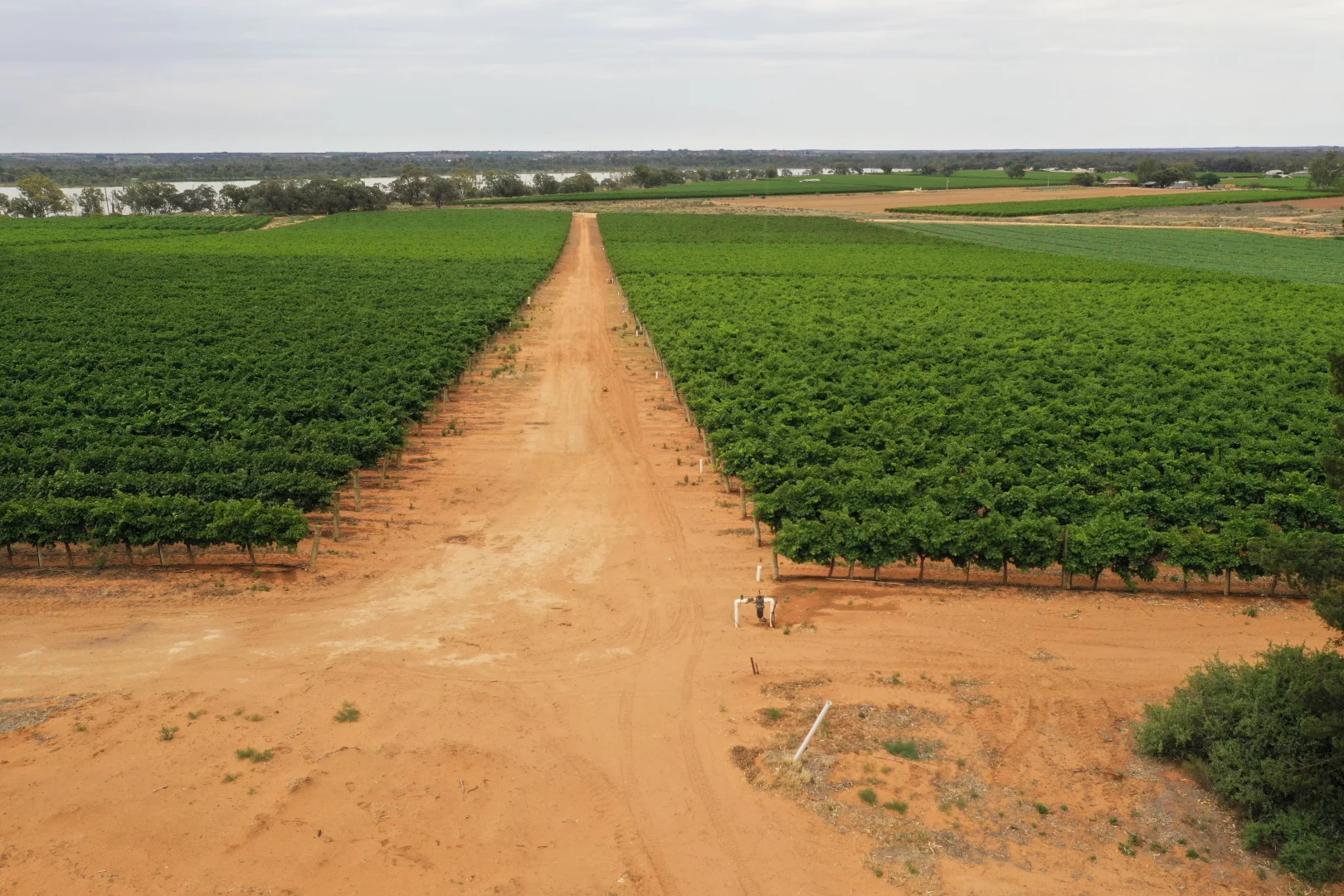 Additional image 5 of 151 ELEPHANT TRUNK ROAD, Cobdogla SA 5346