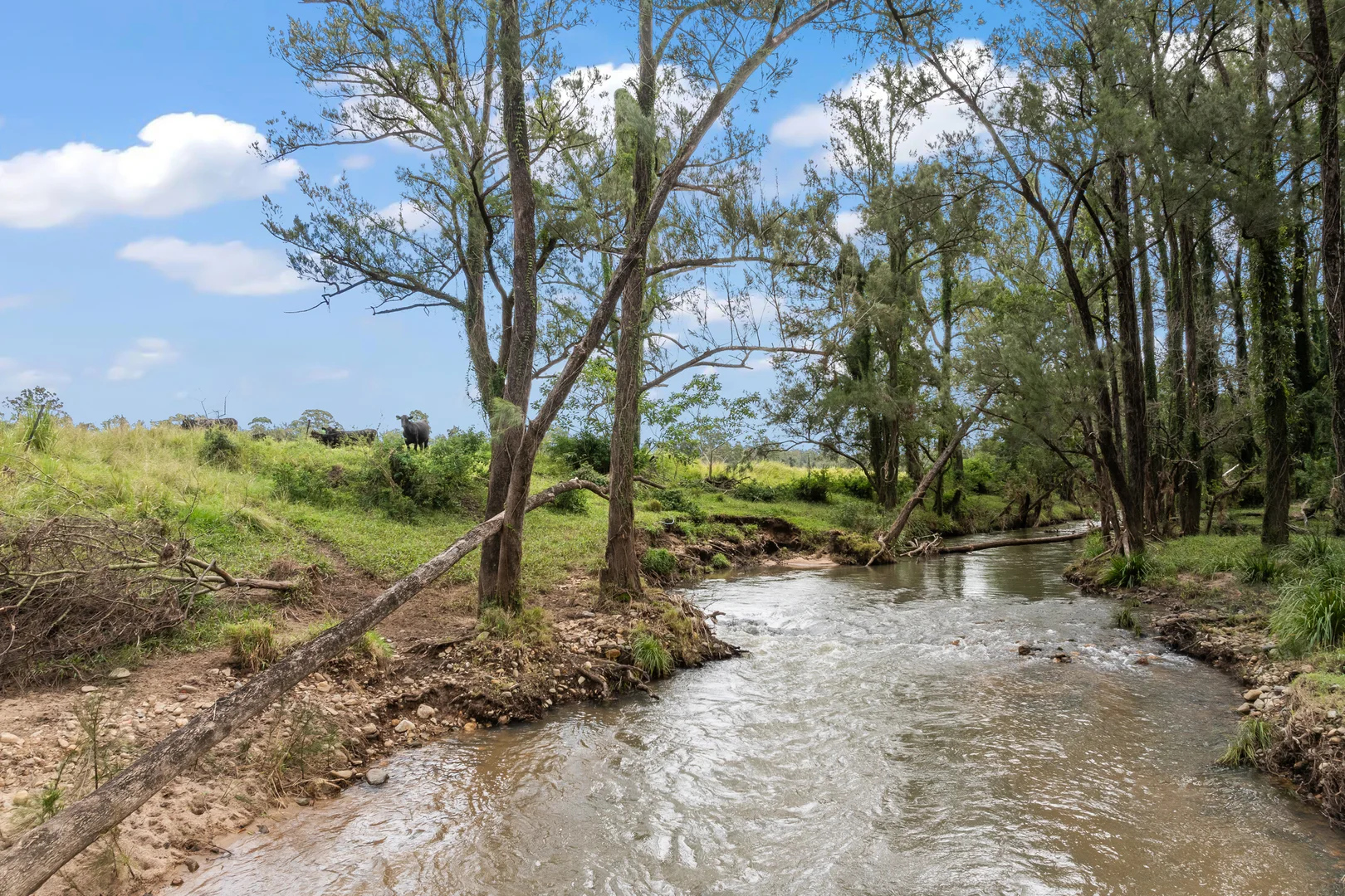 Additional image 13 of 771 Ewingar Road, Ewingar NSW 2469