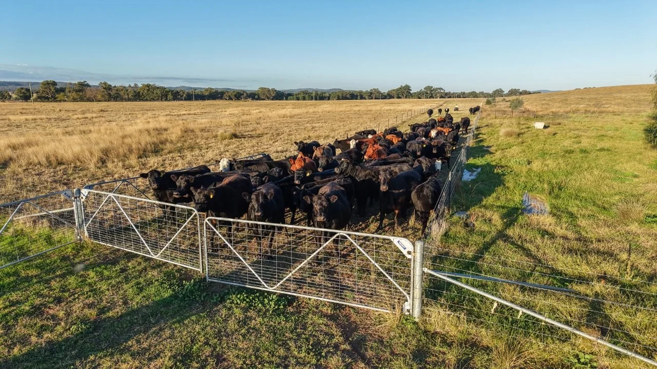 Additional image 4 of 3761 Neilrex Road, Neilrex NSW 2831