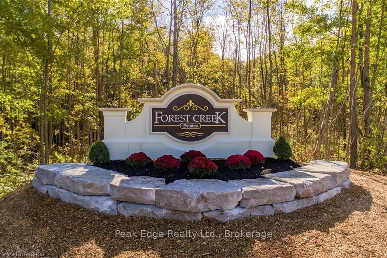 120 Forest Creek Trail