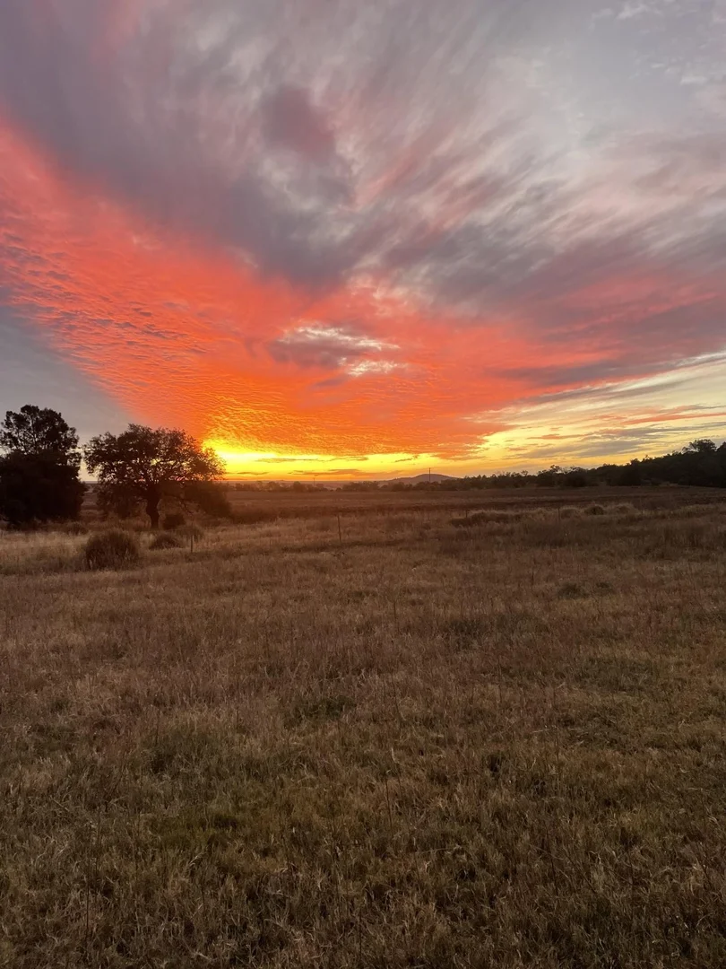 Additional image 5 of 1020 Bramble Rd, Warrumbungle NSW 2828