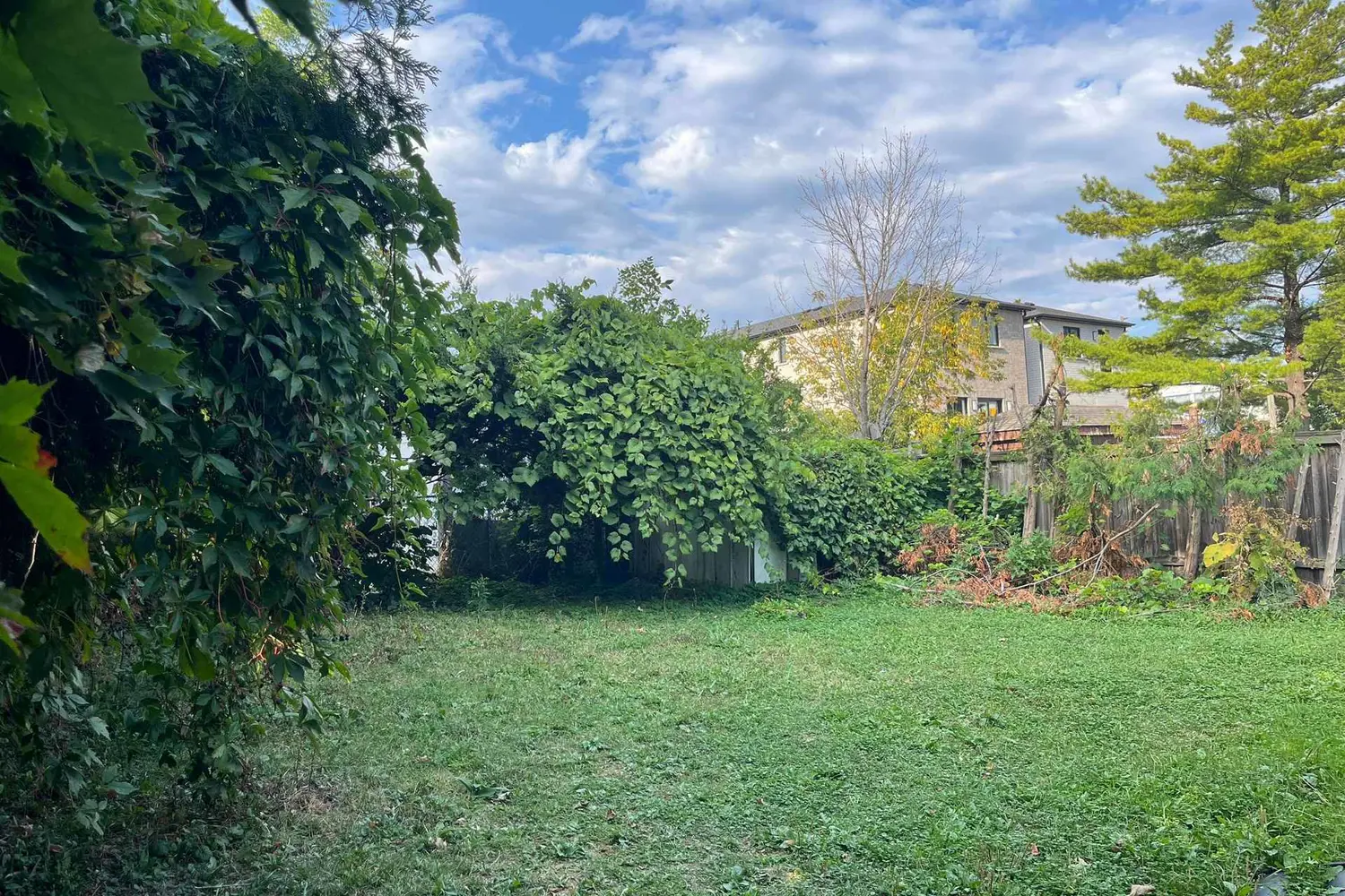 Additional image 20 of 14 Cardell Avenue