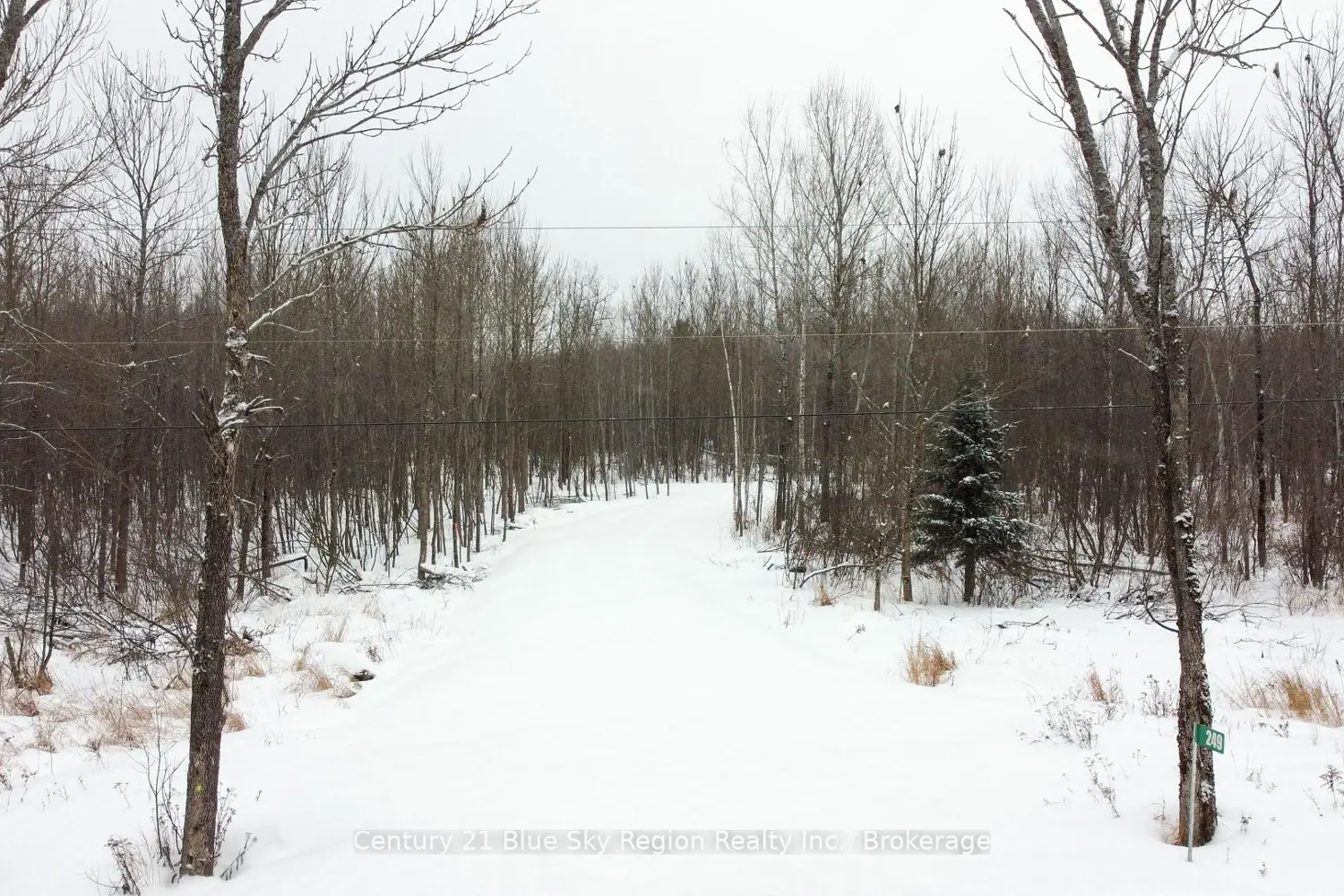 Additional image 4 of 249 Hills Siding Road