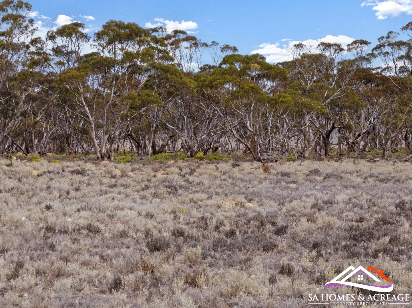 Additional image 7 of Section 195 Sandleton Road, Sandleton SA 5356