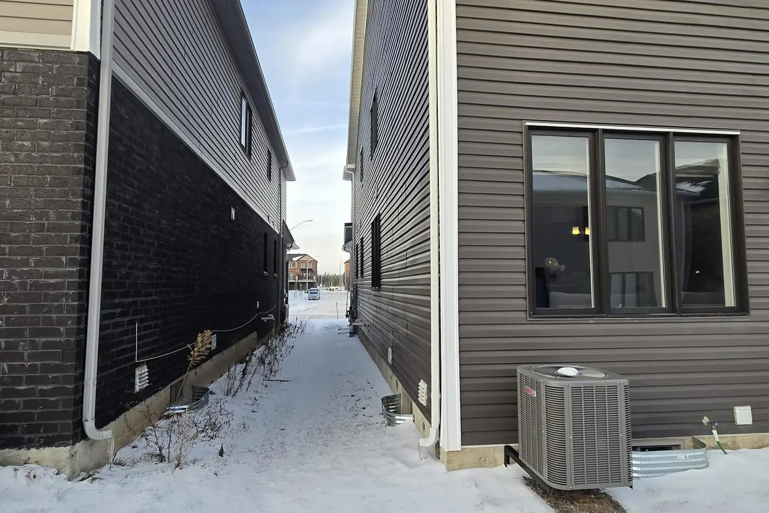 Additional image 16 of 50 Sunflower Crescent