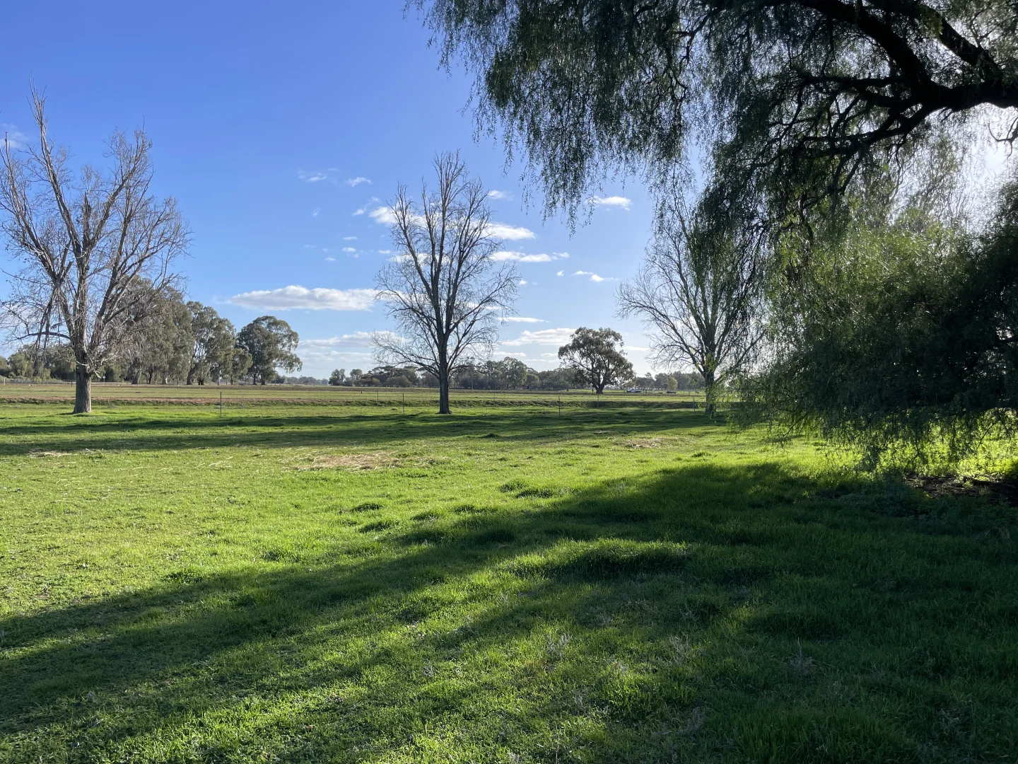 Additional image 16 of 'Kindimindi' 6176 Wakool Road, Wakool NSW 2710