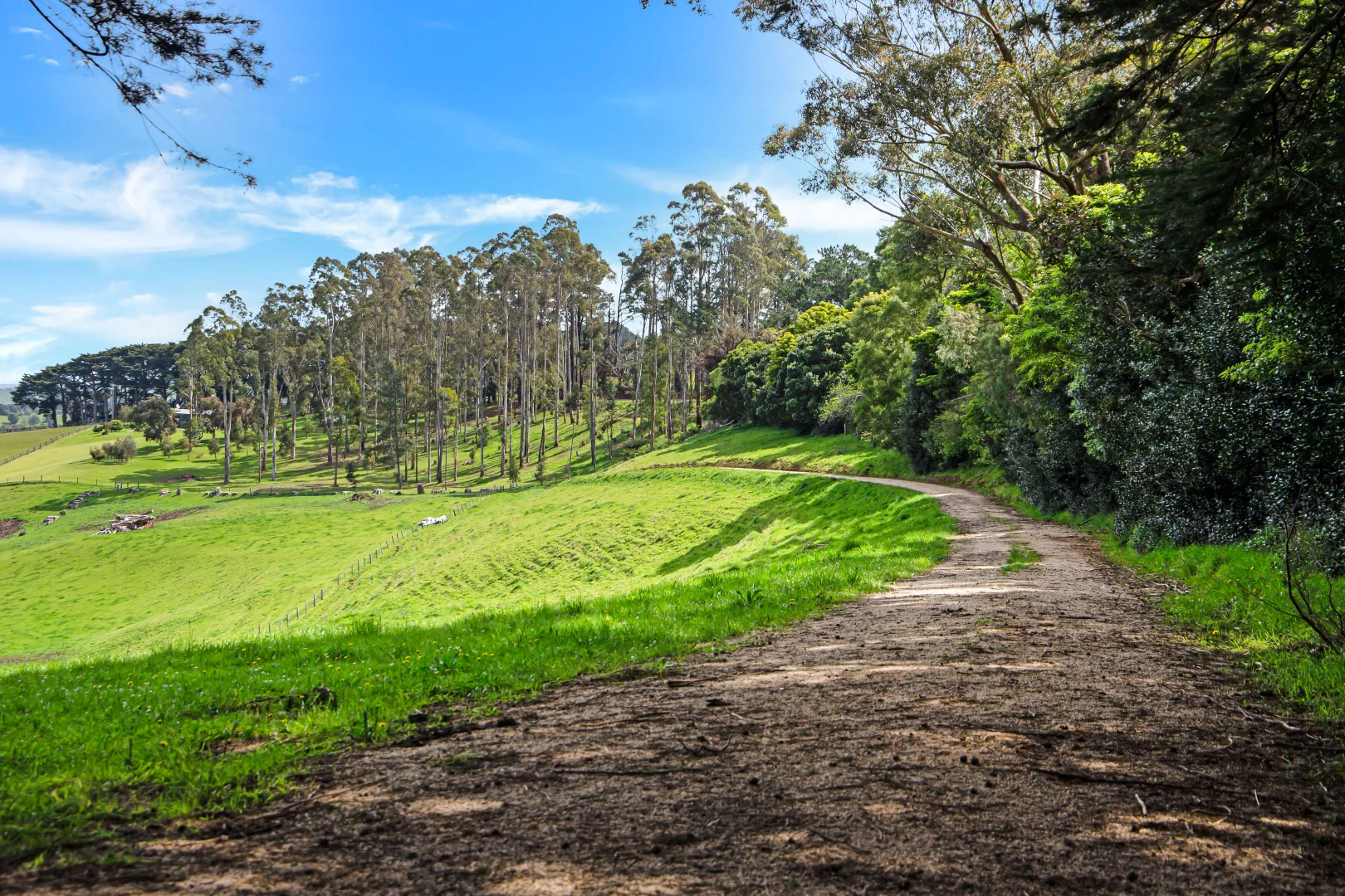Additional image 17 of 1090 Boolarra South-Mirboo North Road, Mirboo VIC 3871