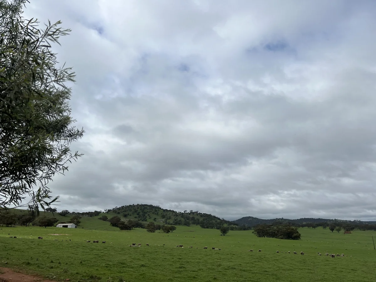 Additional image 15 of 76 Goomalling-Toodyay Road, Dumbarton WA 6566