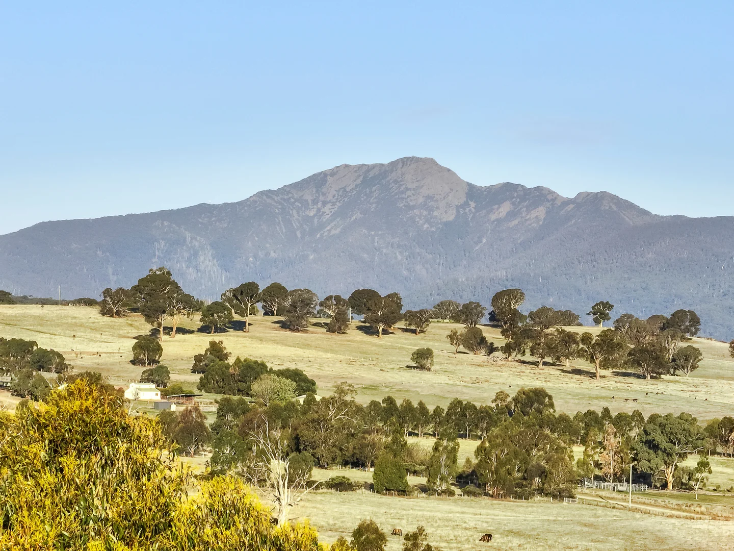 Additional image 27 of 439 Buttercup Road, Merrijig VIC 3723