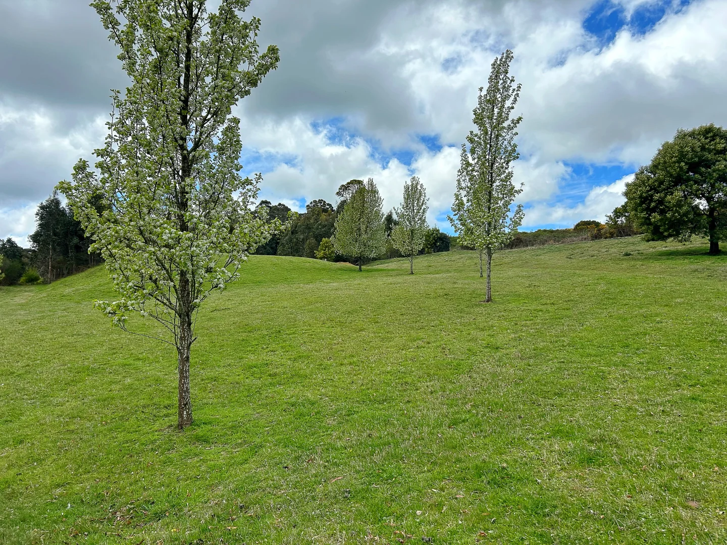 Additional image 9 of 1240 Daylesford-Trentham Road, Lyonville VIC 3461