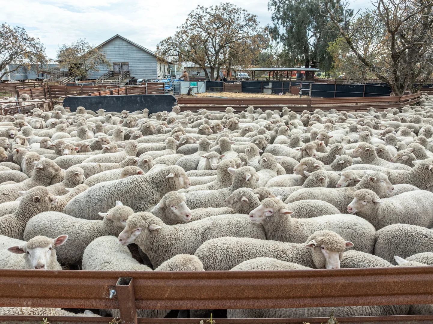 Additional image 8 of 90 Kilnyana Road, Savernake NSW 2646