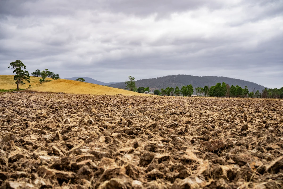 Additional image 5 of 196 Court Farm Road, Buckland TAS 7190