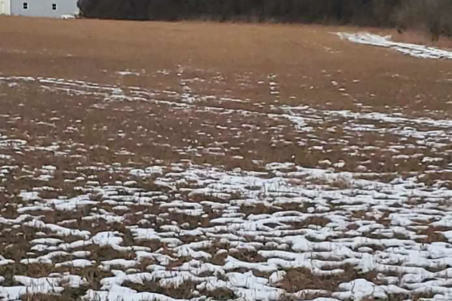 Additional image 4 of 0 Cole Road
