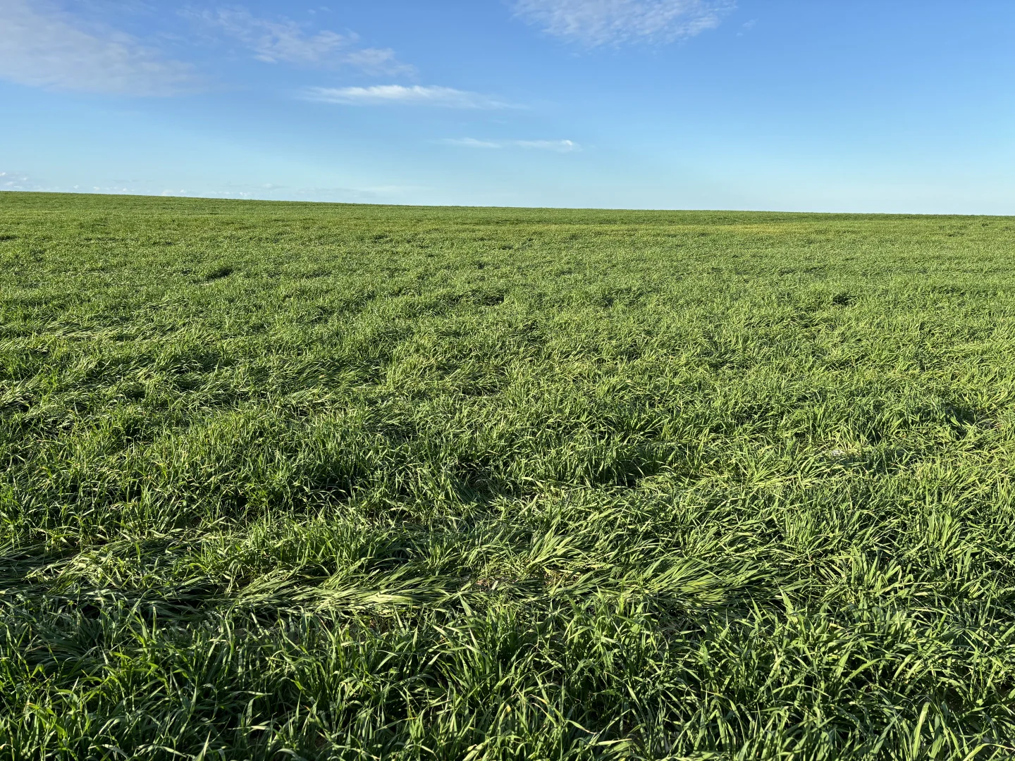 Additional image 11 of Section 82 Chilmans Road, Port Neill SA 5604