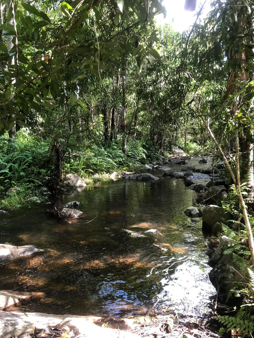 Additional image 19 of 81 Castle Rock Road, Byfield QLD 4703